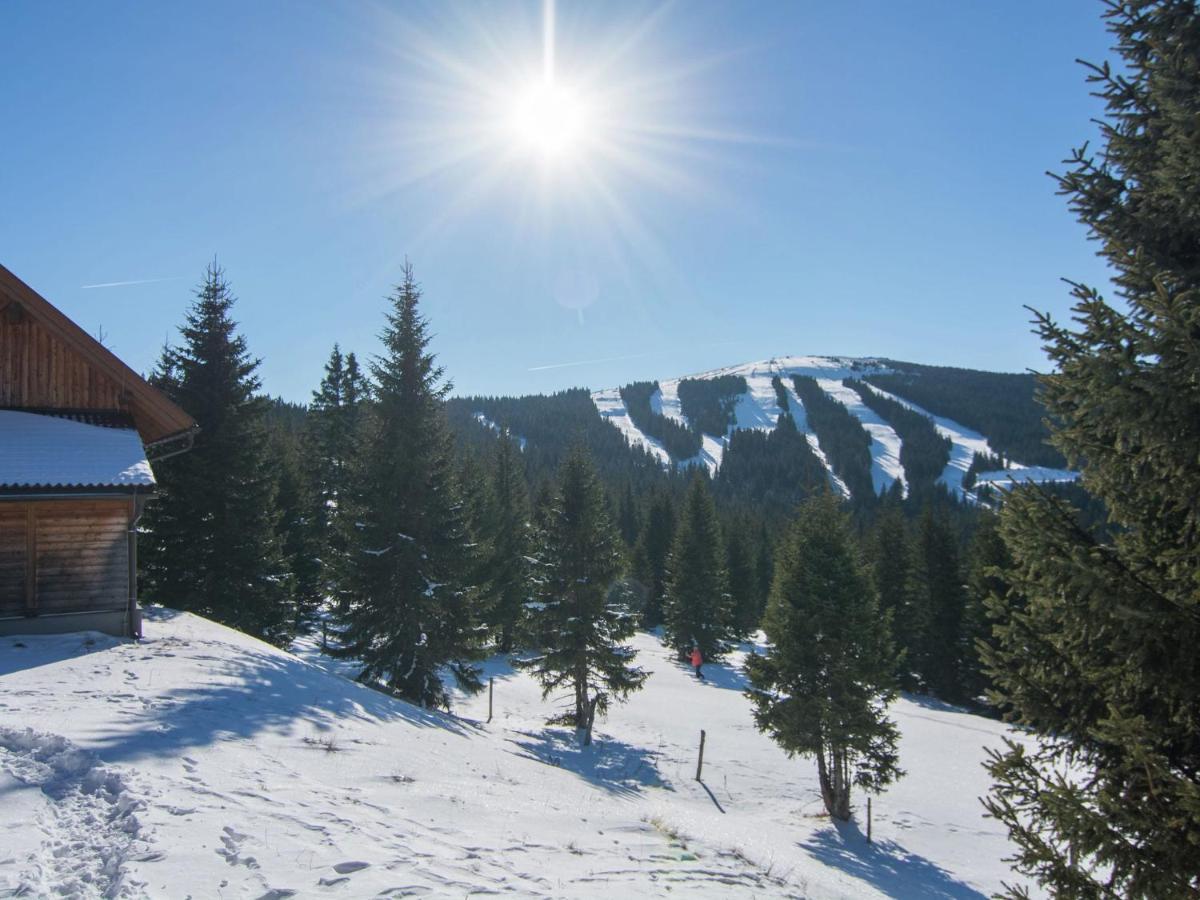 Beautiful Holiday Home In Weinebene With Sauna Obergosel ภายนอก รูปภาพ